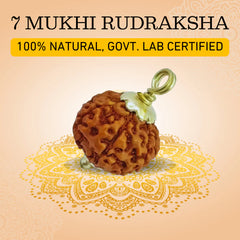 Devam 7 Mukhi Rudraksha Pendant 100% Natural and Government Lab Certified