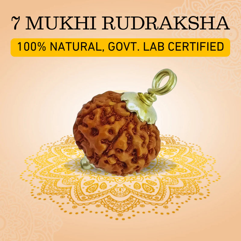 Devam 7 Mukhi Rudraksha Pendant 100% Natural and Government Lab Certified