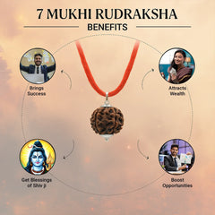 7 Mukhi Rudraksha Necklace from Devam for attracting wealth and success with blessings of Shiv ji