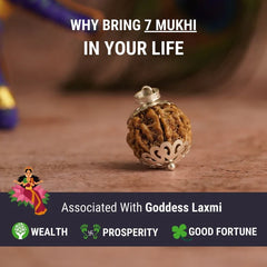 Devam 7 Mukhi Rudraksha Pendant for Wealth, Prosperity, and Good Fortune associated with Goddess Laxmi