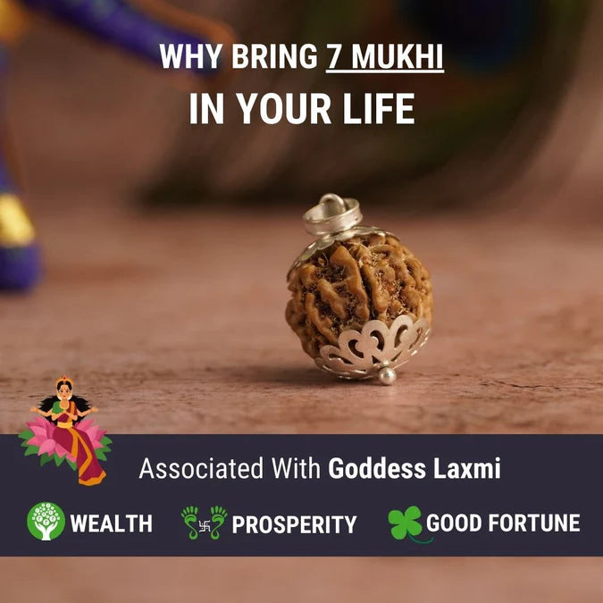 Devam 7 Mukhi Rudraksha Pendant for Wealth, Prosperity, and Good Fortune associated with Goddess Laxmi