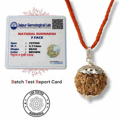 Natural 7 Face Rudraksha Bead Pendant with Certification from Jaipur Gemological Lab