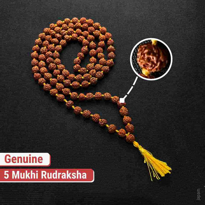 108 Beads Rudraksha Jaap Mala
